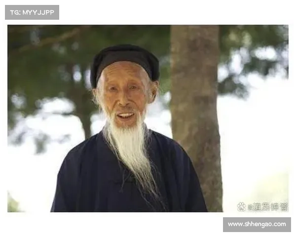 成为最强传人的技能加点秘笈与修炼之道详解