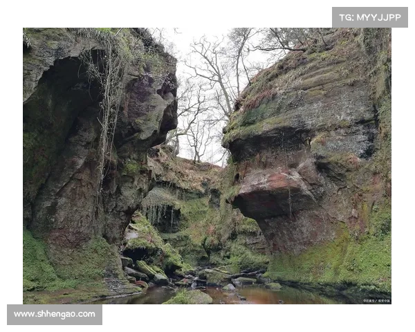 新手必看暗影圣域全方位探索指南带你揭开神秘世界的隐藏秘密